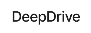 DeepDrive